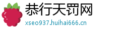 恭行天罚网